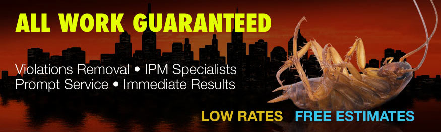 pest-control-ny pest-control-ny